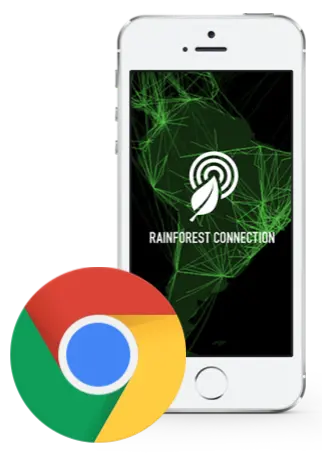 Web-Rainforest Connection